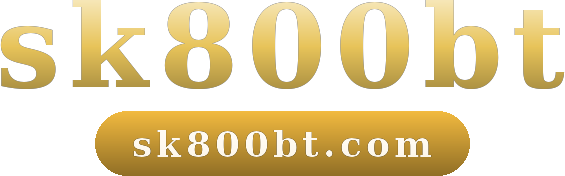 sk800bt logo
